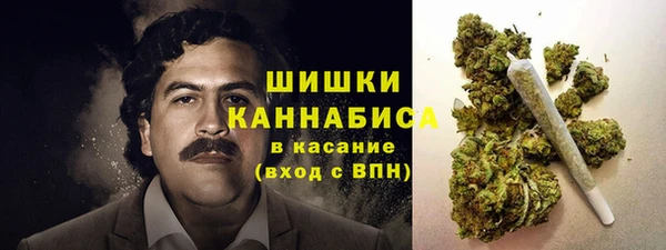 крисы Белокуриха
