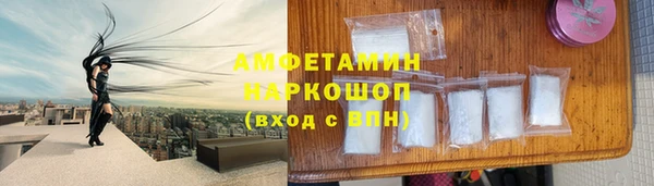 стаф Богданович