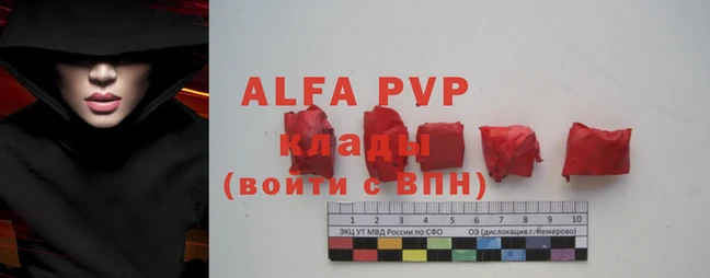 крисы Белокуриха
