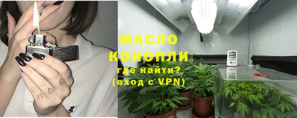 стаф Богданович