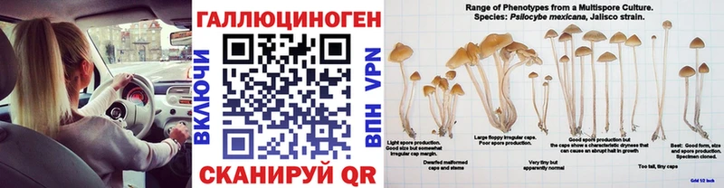 сайты даркнета Telegram  Калининец  Галлюциногенные грибы ЛСД 